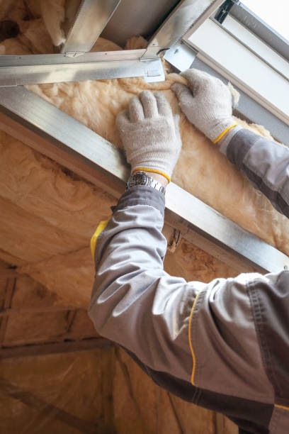 Best Energy-efficient Insulation  in South Elgin, IL