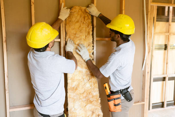 Best Spray Foam Insulation  in South Elgin, IL